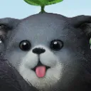 BEAR8PZOOM