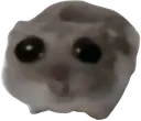 oh