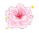 93366flower
