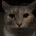 Ikwhatudid