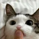 shush