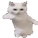 catdance