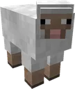 23514minecraftsheep