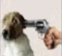 ruhroh