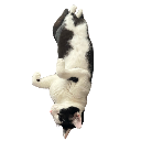 emoji_21 Discord sticker - r/CerebralPalsy 🌐