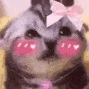 catblush