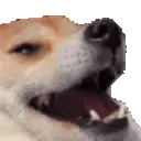 OmegaKek