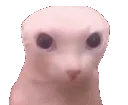 bingus_bye