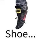 shoe