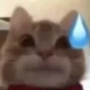 Nervous