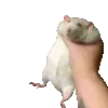 W_choke
