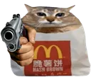 GunHashcat
