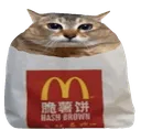 Hashcat