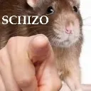 schizo