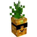 ananas ananas