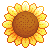 39904sunflower