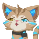 aloof_cat