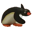 marchnoot