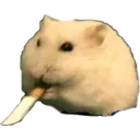 hamsterfartsknife