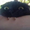 blazebite
