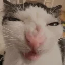 sus_squint