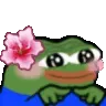 shypeepoflower shypeepoflower