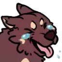 xD