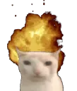 g_cat_explosion