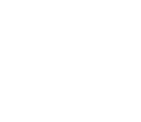 butterwhitefly
