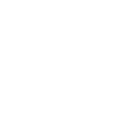 icon_currency_chip