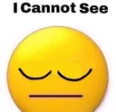 icannotsee