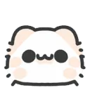 cat_shocked