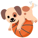 dogball