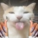 Yasss_Cat Discord emoji