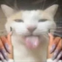 Yasss_Cat