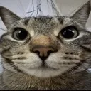 thing