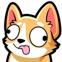 corgiderp
