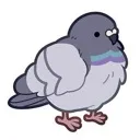 cutepigeon
