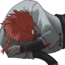 LCfVEINsleep_Hobo