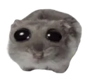 sadhamster