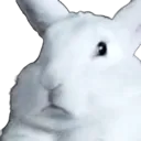 boo_confuzzled