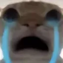 cry