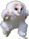 ehhoehho ehhoehho