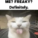 freakycar