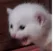 aaaaaa