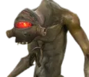 Vort