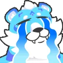 calicry calicry