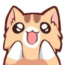 cat_wow