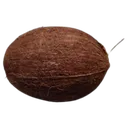 coconut