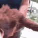 rosa_when_raging